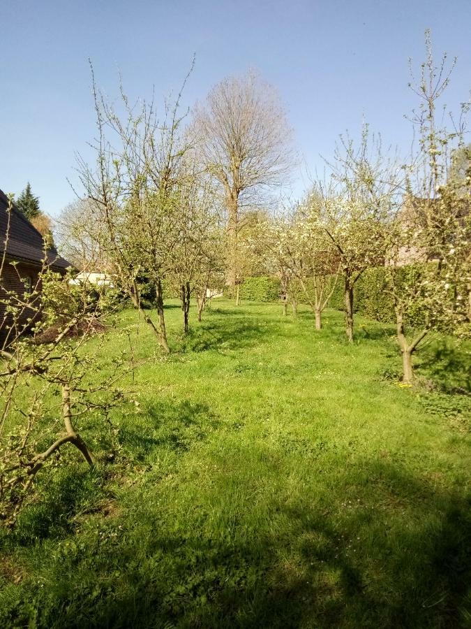 Villa gite du montagnard à Oxelaere Extérieur photo