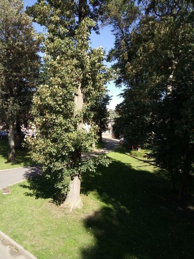 gite du montagnard Oxelaere Extérieur photo